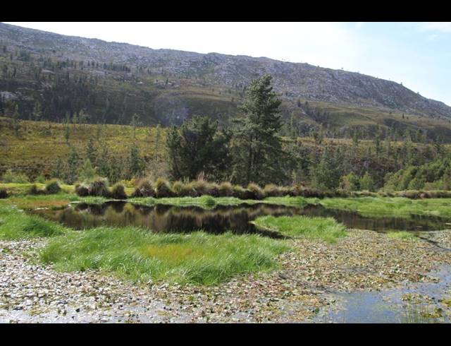 911HA FARM FOR SALE IN RIVERSDALE RURAL